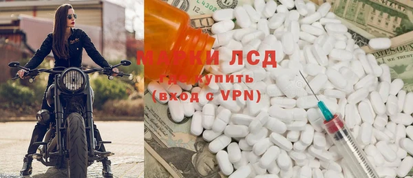 ПСИЛОЦИБИНОВЫЕ ГРИБЫ Кулебаки